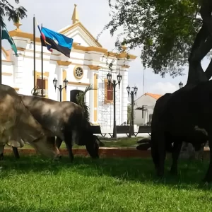 Hoy 9 de mayo de 2025, celebramos los 303 años de la Fundación de La Villa del Rosario de Perijá.