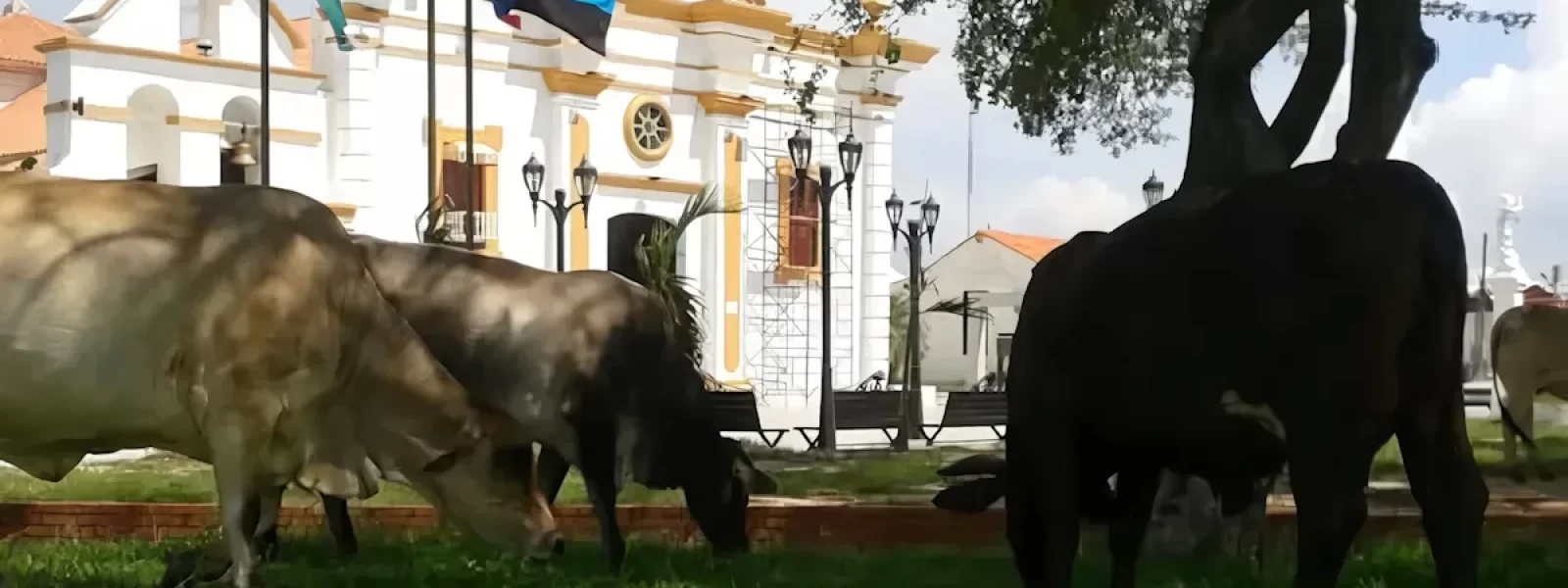 Hoy 9 de mayo de 2025, celebramos los 303 años de la Fundación de La Villa del Rosario de Perijá.